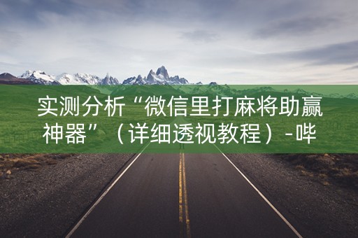 实测分析“微信里打麻将助赢神器”（详细透视教程）-哔哩哔哩