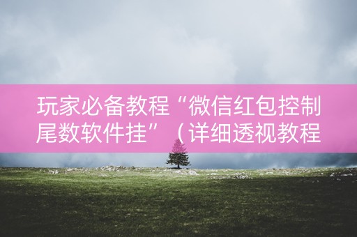 玩家必备教程“微信红包控制尾数软件挂”（详细透视教程）-哔哩哔哩