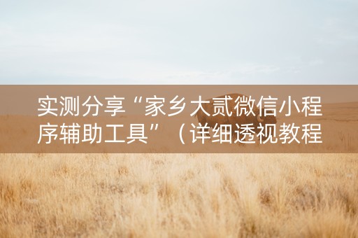 实测分享“家乡大贰微信小程序辅助工具”（详细透视教程）-哔哩哔哩