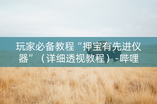 玩家必备教程“押宝有先进仪器”（详细透视教程）-哔哩哔哩