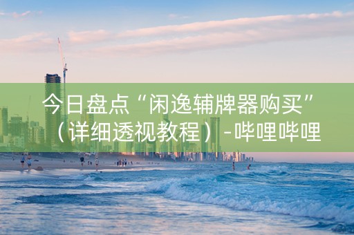 今日盘点“闲逸辅牌器购买”（详细透视教程）-哔哩哔哩
