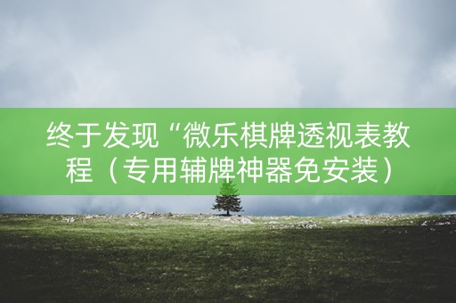 终于发现“微乐棋牌透视表教程（专用辅牌神器免安装）