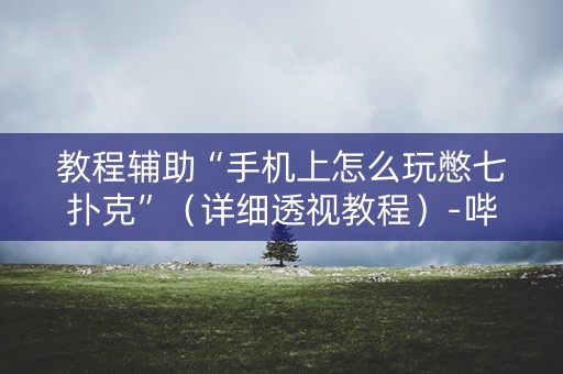 教程辅助“手机上怎么玩憋七扑克”（详细透视教程）-哔哩哔哩