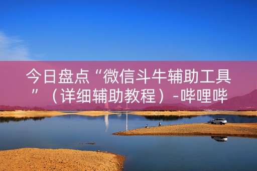 今日盘点“微信斗牛辅助工具”（详细辅助教程）-哔哩哔哩