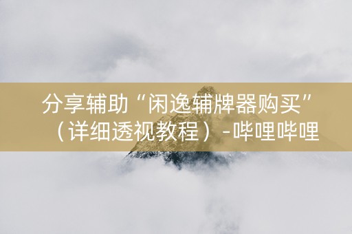 分享辅助“闲逸辅牌器购买”（详细透视教程）-哔哩哔哩