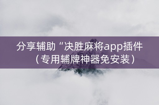 分享辅助“决胜麻将app插件（专用辅牌神器免安装）