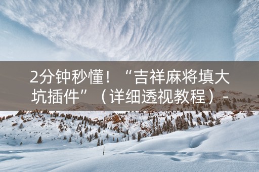 2分钟秒懂！“吉祥麻将填大坑插件”（详细透视教程）-哔哩哔哩