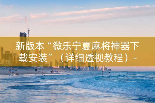 新版本“微乐宁夏麻将神器下载安装”（详细透视教程）-哔哩哔哩