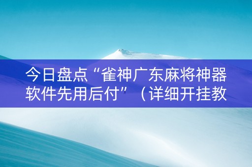 今日盘点“雀神广东麻将神器软件先用后付”（详细开挂教程）-哔哩哔哩