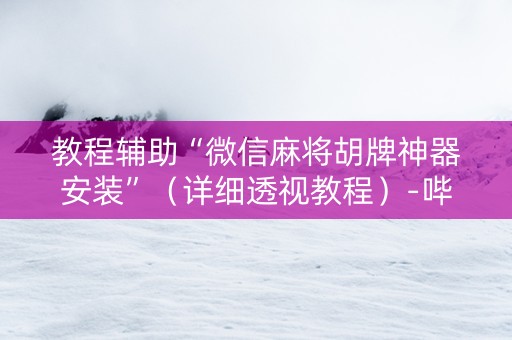 教程辅助“微信麻将胡牌神器安装”（详细透视教程）-哔哩哔哩