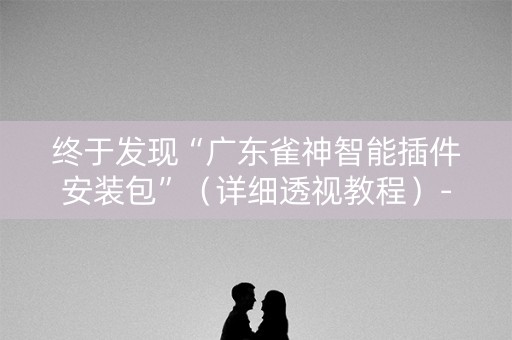 终于发现“广东雀神智能插件安装包”（详细透视教程）-哔哩哔哩