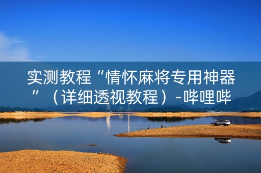 实测教程“情怀麻将专用神器”（详细透视教程）-哔哩哔哩