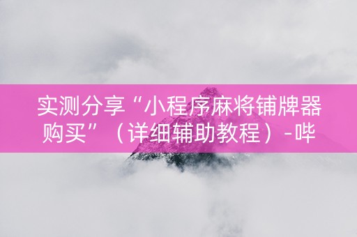 实测分享“小程序麻将铺牌器购买”（详细辅助教程）-哔哩哔哩