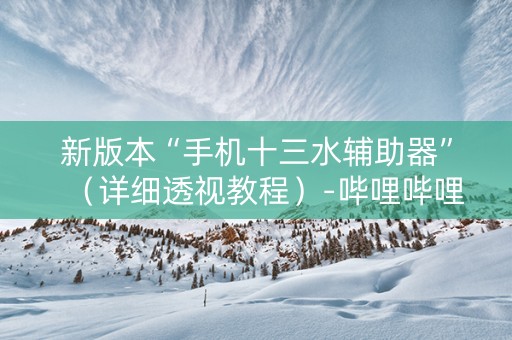新版本“手机十三水辅助器”（详细透视教程）-哔哩哔哩
