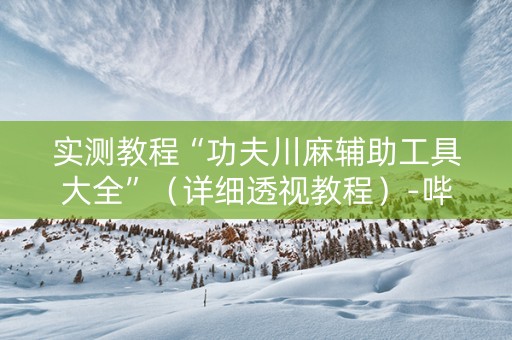 实测教程“功夫川麻辅助工具大全”（详细透视教程）-哔哩哔哩