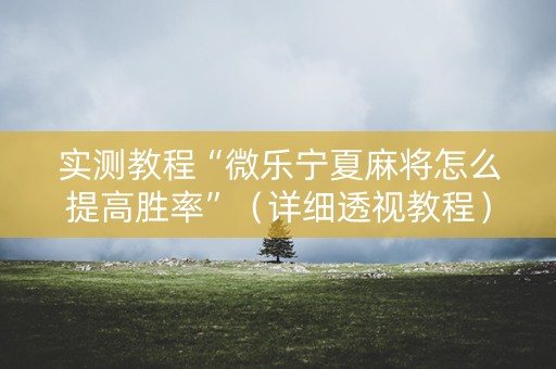 实测教程“微乐宁夏麻将怎么提高胜率”（详细透视教程）-哔哩哔哩