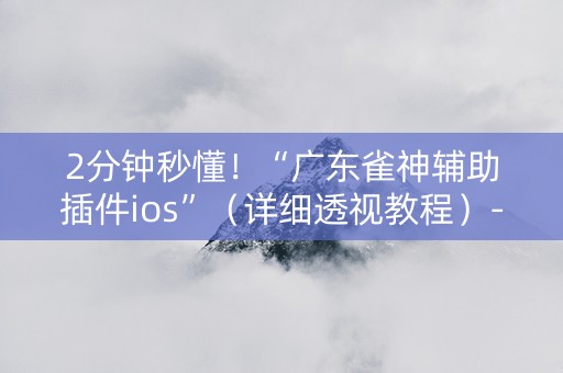 2分钟秒懂！“广东雀神辅助插件ios”（详细透视教程）-哔哩哔哩