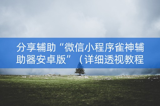 分享辅助“微信小程序雀神辅助器安卓版”（详细透视教程）-哔哩哔哩
