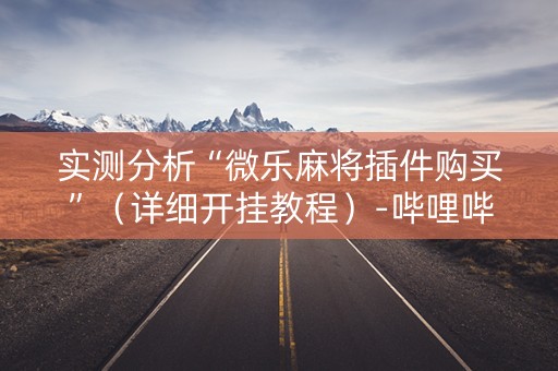 实测分析“微乐麻将插件购买”（详细开挂教程）-哔哩哔哩