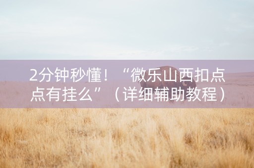 2分钟秒懂！“微乐山西扣点点有挂么”（详细辅助教程）-哔哩哔哩