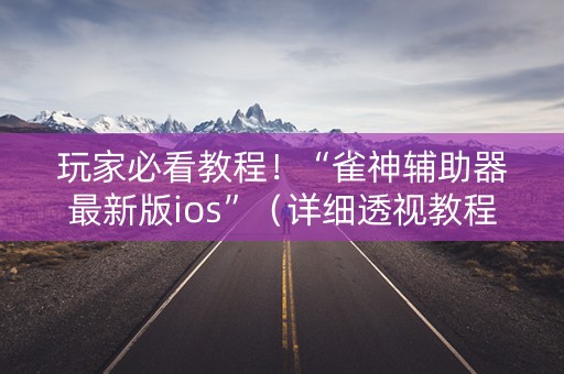玩家必看教程！“雀神辅助器最新版ios”（详细透视教程）-哔哩哔哩