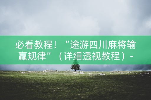必看教程！“途游四川麻将输赢规律”（详细透视教程）-哔哩哔哩