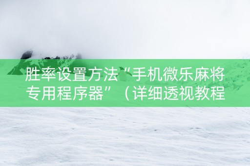 胜率设置方法“手机微乐麻将专用程序器”（详细透视教程）-哔哩哔哩