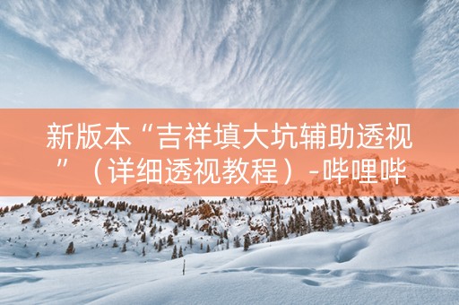新版本“吉祥填大坑辅助透视”（详细透视教程）-哔哩哔哩