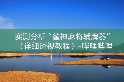 实测分析“雀神麻将辅牌器”（详细透视教程）-哔哩哔哩