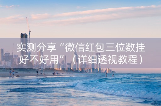 实测分享“微信红包三位数挂好不好用”（详细透视教程）-哔哩哔哩