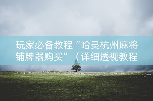 玩家必备教程“哈灵杭州麻将铺牌器购买”（详细透视教程）-哔哩哔哩