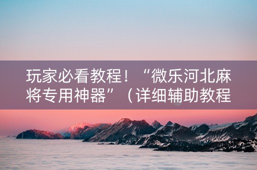 玩家必看教程！“微乐河北麻将专用神器”（详细辅助教程）-哔哩哔哩