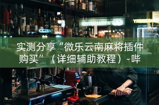 实测分享“微乐云南麻将插件购买”（详细辅助教程）-哔哩哔哩