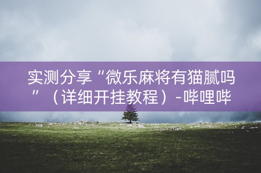 实测分享“微乐麻将有猫腻吗”（详细开挂教程）-哔哩哔哩