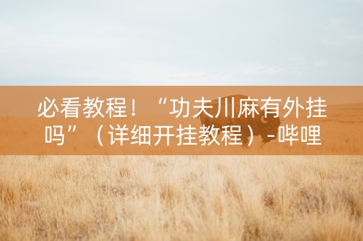 必看教程！“功夫川麻有外挂吗”（详细开挂教程）-哔哩哔哩