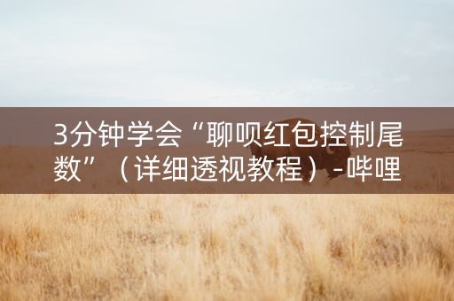 3分钟学会“聊呗红包控制尾数”（详细透视教程）-哔哩哔哩