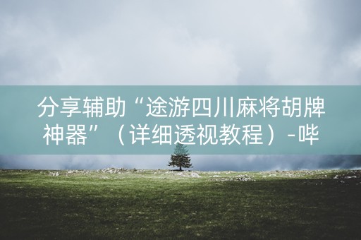分享辅助“途游四川麻将胡牌神器”（详细透视教程）-哔哩哔哩