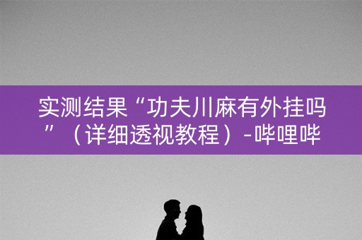 实测结果“功夫川麻有外挂吗”（详细透视教程）-哔哩哔哩