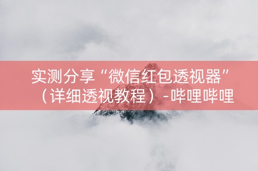 实测分享“微信红包透视器”（详细透视教程）-哔哩哔哩