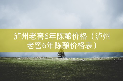 泸州老窖6年陈酿价格（泸州老窖6年陈酿价格表）