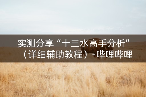 实测分享“十三水高手分析”（详细辅助教程）-哔哩哔哩