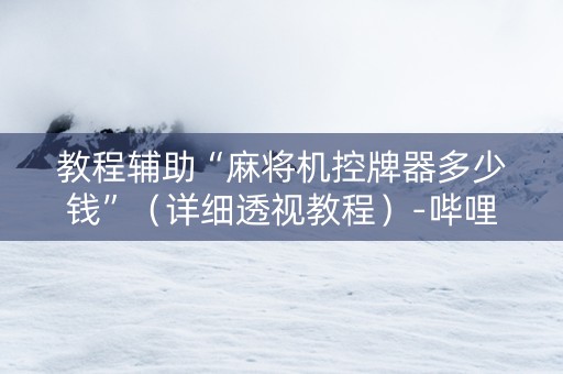 教程辅助“麻将机控牌器多少钱”（详细透视教程）-哔哩哔哩