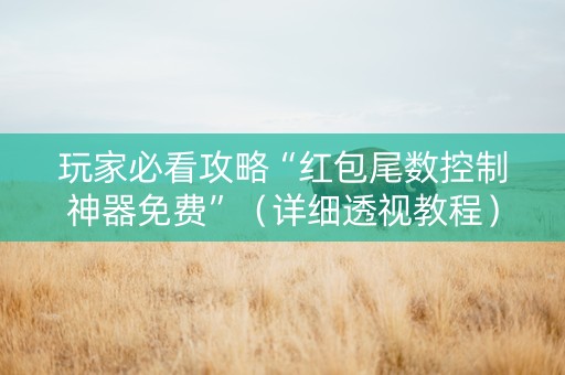 玩家必看攻略“红包尾数控制神器免费”（详细透视教程）-哔哩哔哩