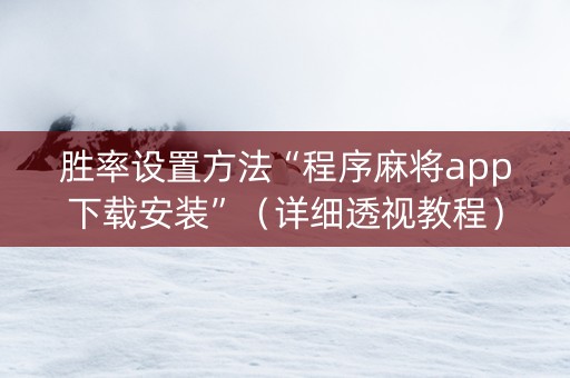 胜率设置方法“程序麻将app下载安装”（详细透视教程）-哔哩哔哩