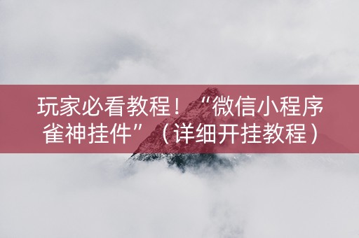 玩家必看教程！“微信小程序雀神挂件”（详细开挂教程）-哔哩哔哩