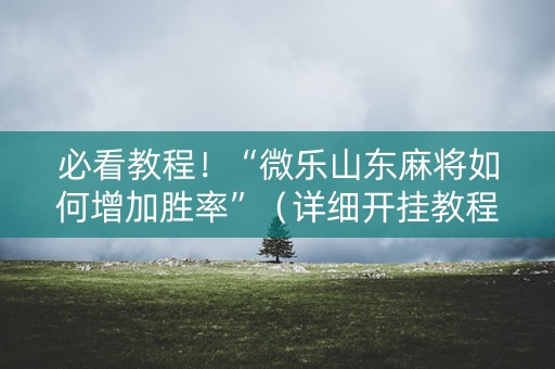 必看教程！“微乐山东麻将如何增加胜率”（详细开挂教程）-哔哩哔哩