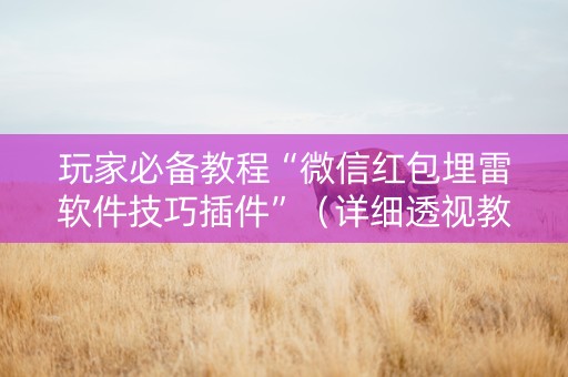 玩家必备教程“微信红包埋雷软件技巧插件”（详细透视教程）-哔哩哔哩