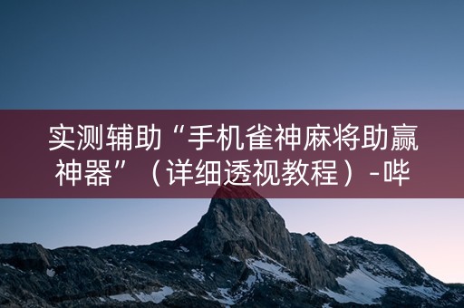 实测辅助“手机雀神麻将助赢神器”（详细透视教程）-哔哩哔哩