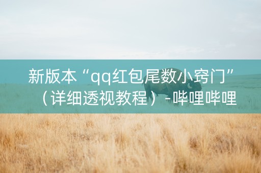 新版本“qq红包尾数小窍门”（详细透视教程）-哔哩哔哩
