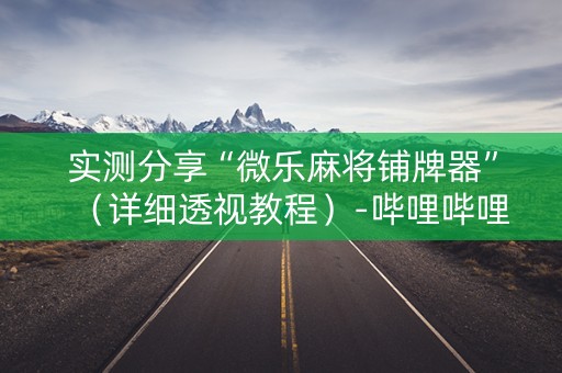 实测分享“微乐麻将铺牌器”（详细透视教程）-哔哩哔哩